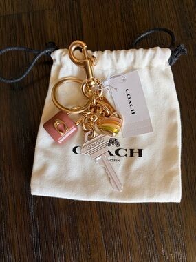 Coach Pink Enamel & Gold-Tone Key Charm with Multicolor Heart